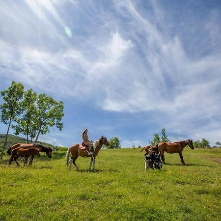 Etno Village Vojnik Savnik Ngoại thất bức ảnh